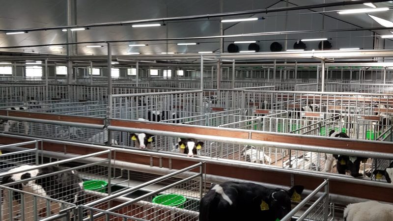 上海抖音小店代运营效果评估：关键指标与实操建议